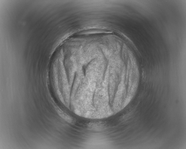 X0000054380725200508270006