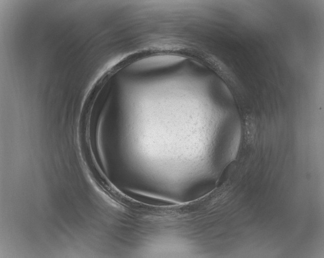 X0000054380726200508270007