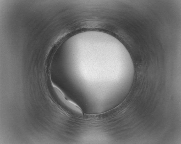 X0000054380727200508270007