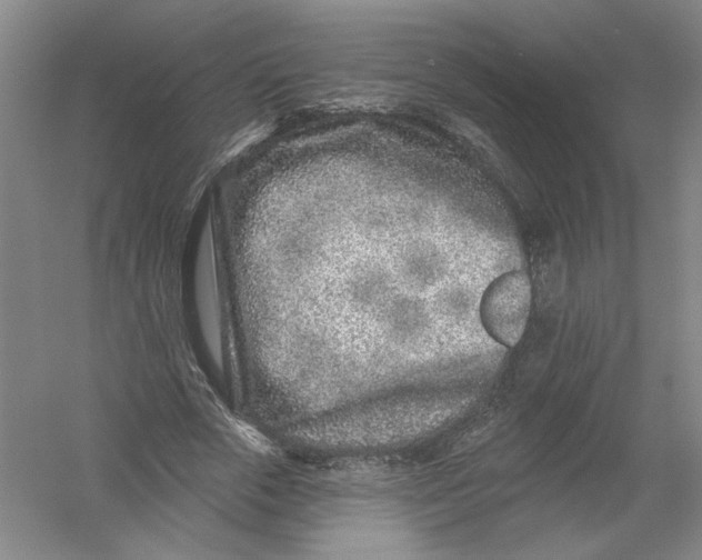 X0000054380729200508270007