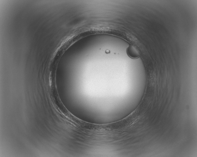 X0000054380731200508270007