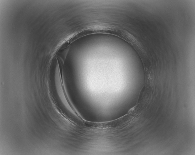 X0000054380732200508270007