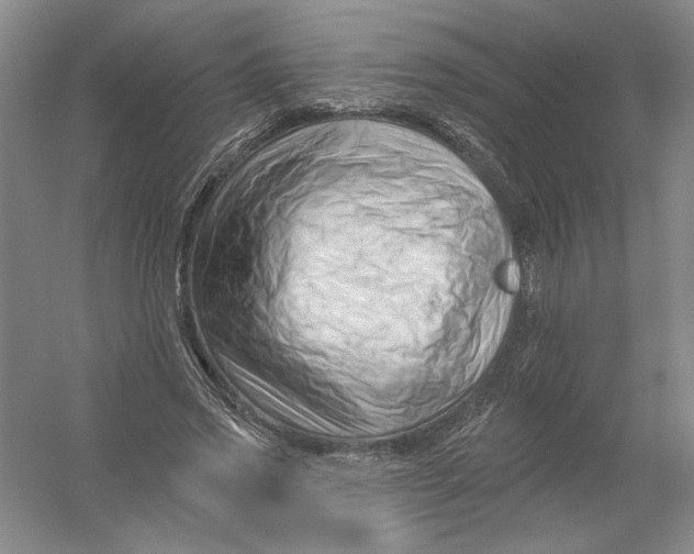 X0000054380733200508270007