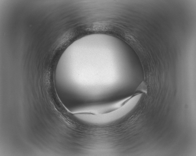 X0000054380735200508270007