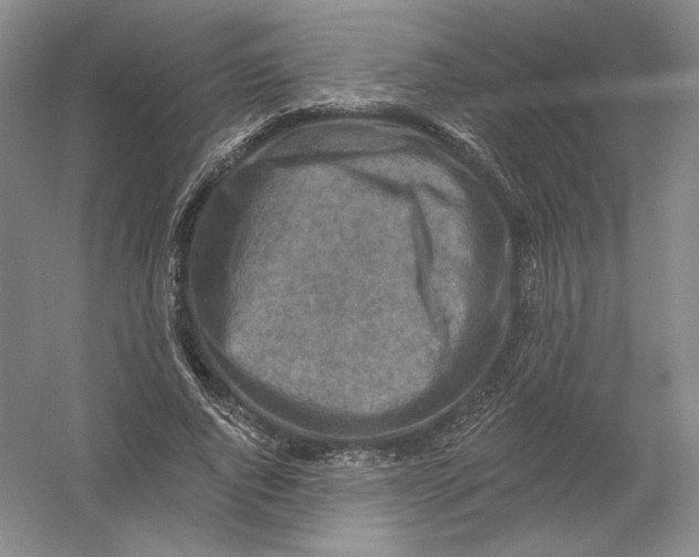 X0000054380736200508270007