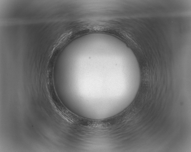 X0000054380738200508270007