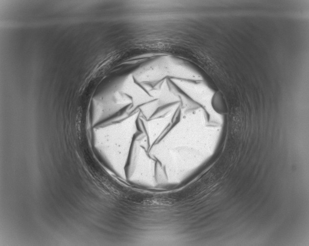 X0000054380739200508270007