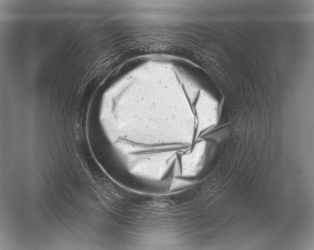 X0000054380743200508270007