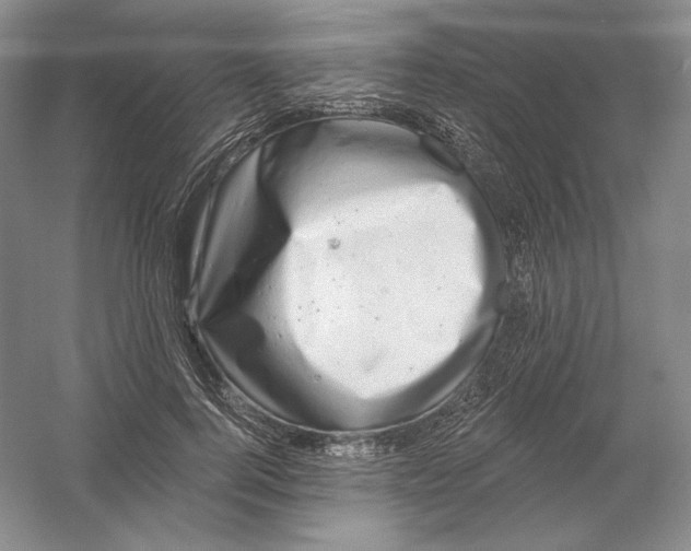 X0000054380744200508270007