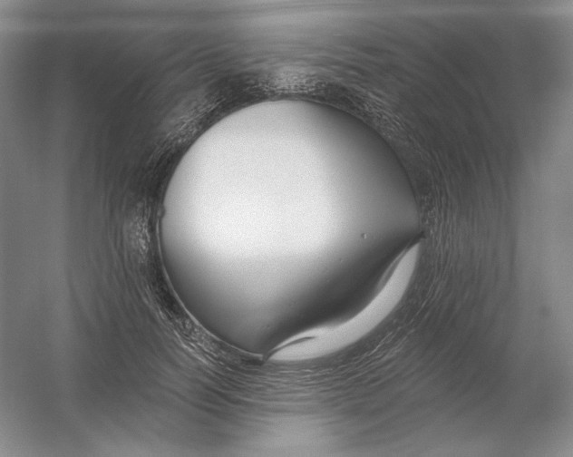 X0000054380746200508270007