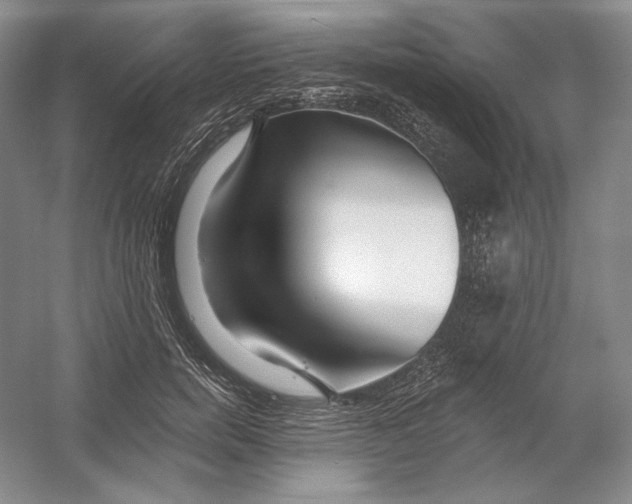 X0000054380750200508270007