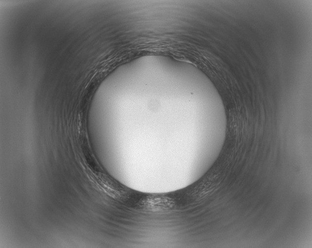 X0000054380752200508270007