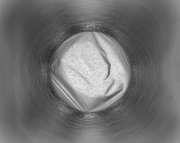 X0000054380753200508270007