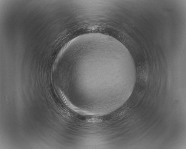 X0000054380754200508270007