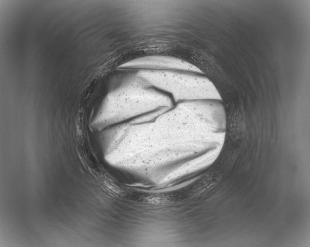 X0000054380755200508270007