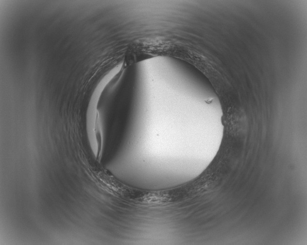 X0000054380756200508270007