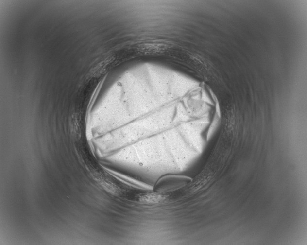 X0000054380759200508270007