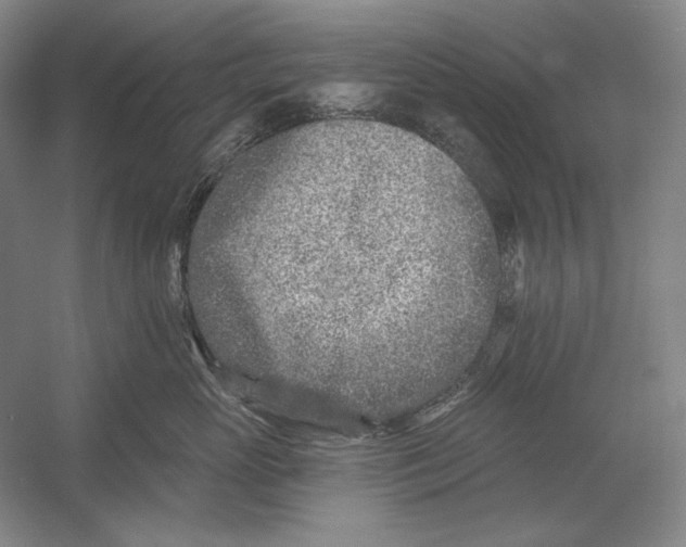 X0000054380765200508270007