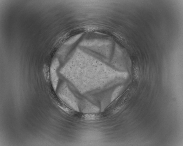 X0000054380766200508270007