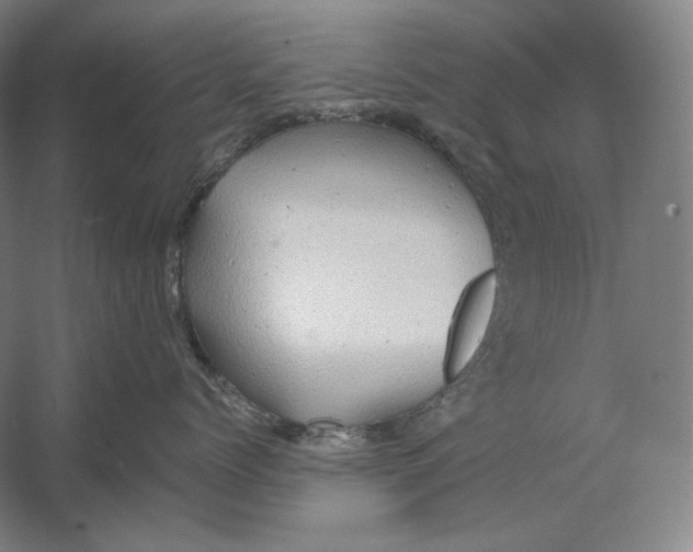 X0000054380768200508270007