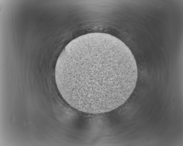 X0000054380769200508270006