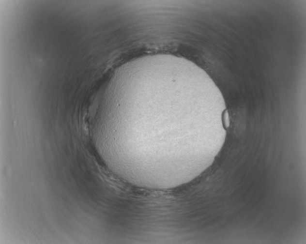 X0000054380770200508270006