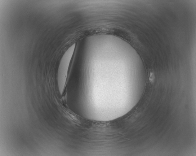 X0000054380771200508270006