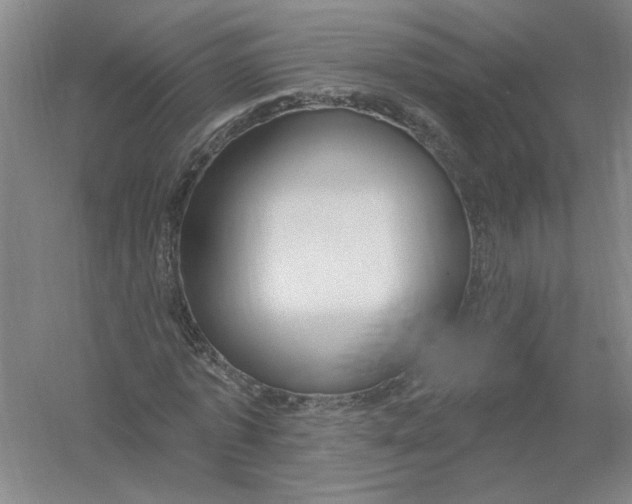 X0000054380773200508270006