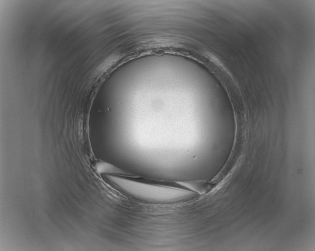 X0000054380777200508270006