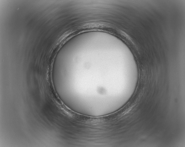 X0000054380778200508270006