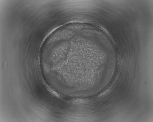 X0000054380779200508270006