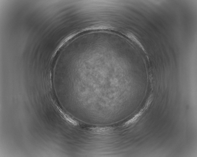 X0000054380781200508270006