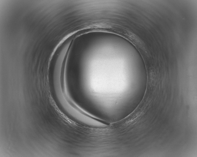 X0000054380784200508270006