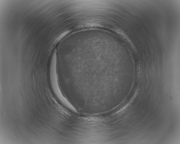 X0000054380785200508270006