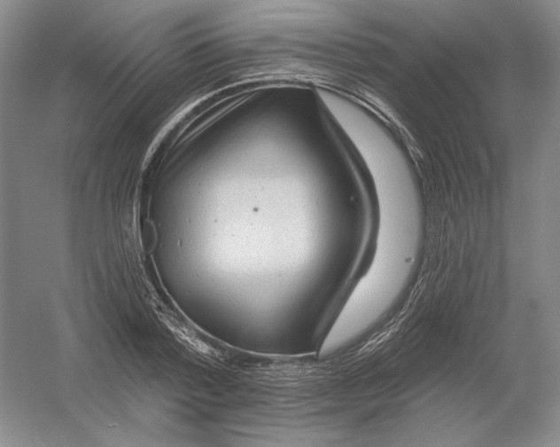 X0000054380788200508270006