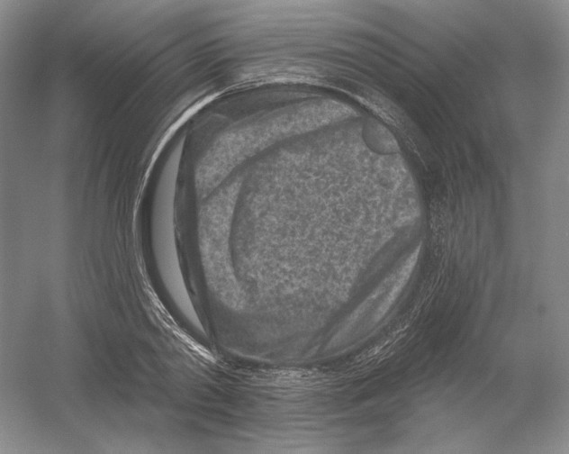 X0000054380790200508270006