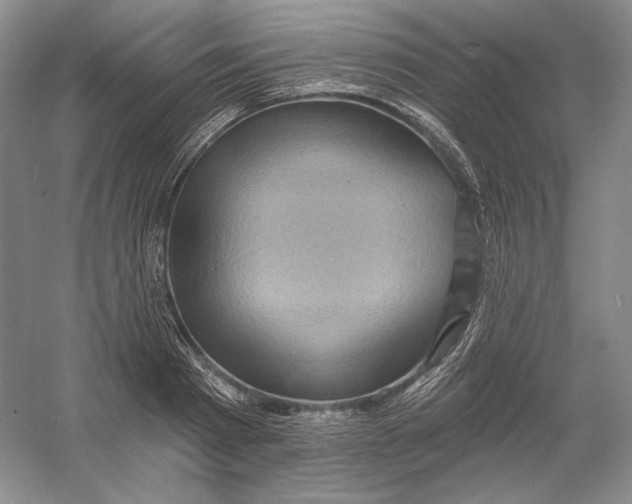 X0000054380793200508270006