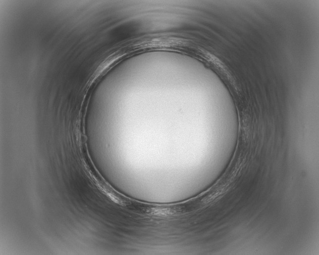 X0000054380794200508270006