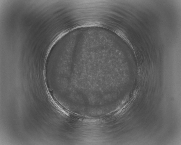 X0000054380797200508270006