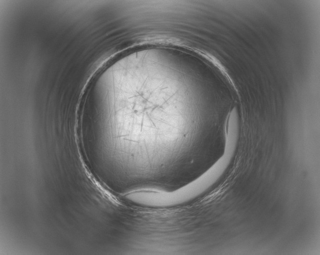 X0000054380799200508270006