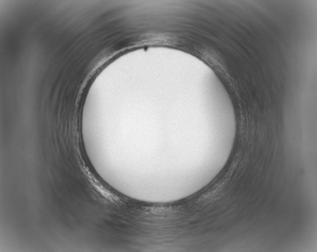 X0000054380800200508270006