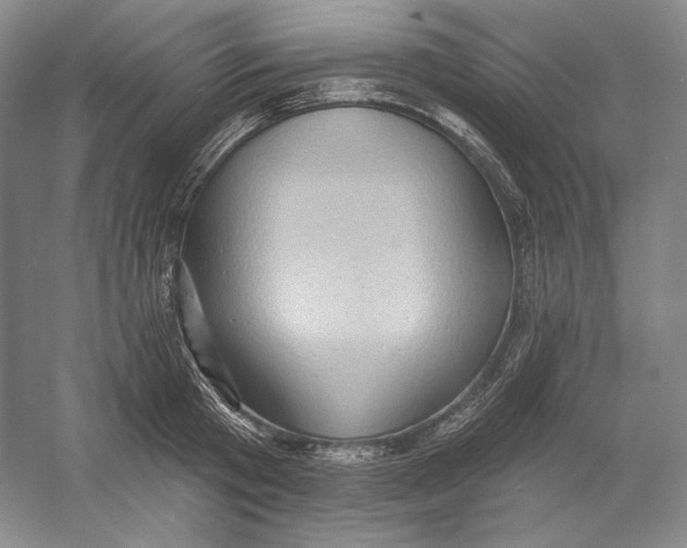 X0000054380801200508270006