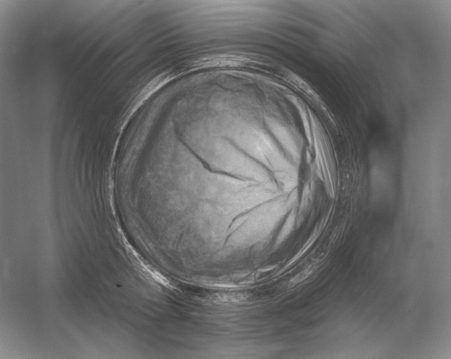 X0000054380802200508270006