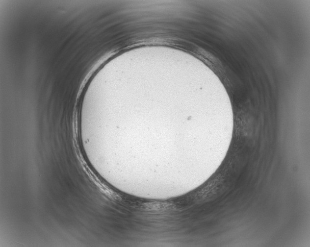 X0000054380804200508270006