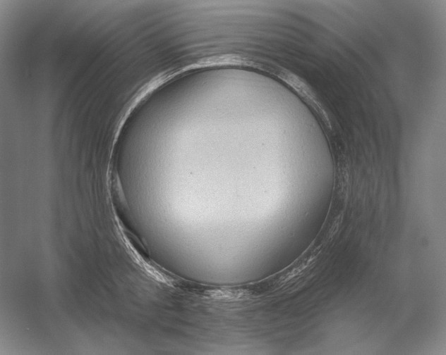 X0000054380805200508270006