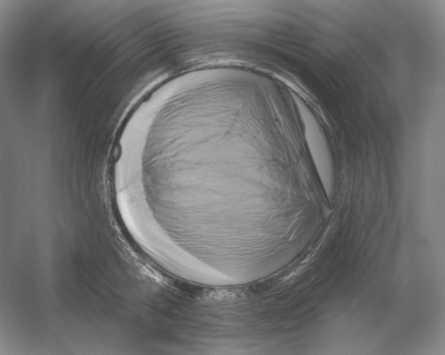 X0000054380806200508270006