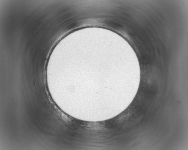 X0000054380807200508270006