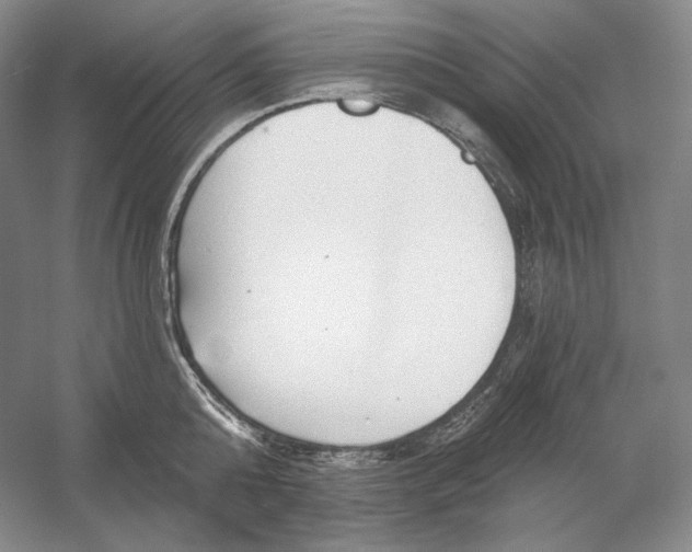 X0000054380808200508270006