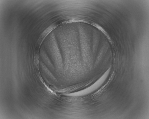 X0000054380809200508270006