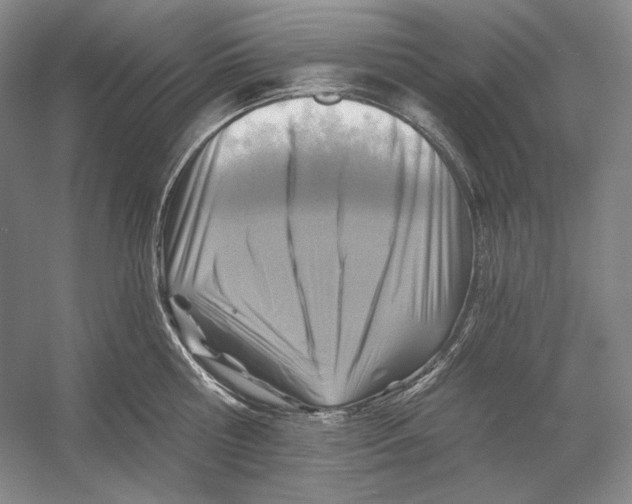 X0000054380810200508270006